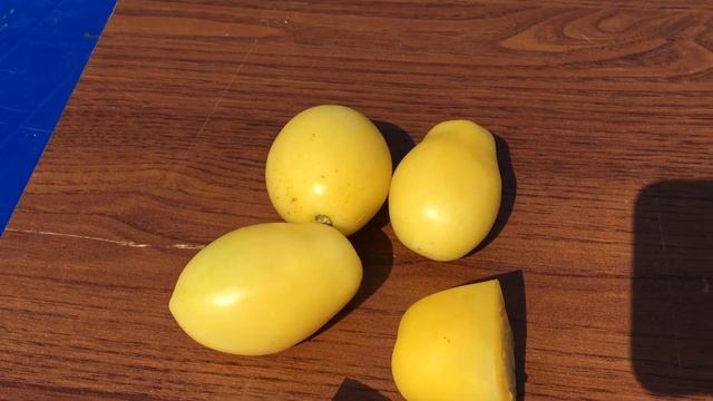 Томат БЕЛАЯ СЛИВА смотреть онлайн