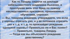 Анекдоты потоком! Свежак приколов! Анекдоты от "А" до "Я"!