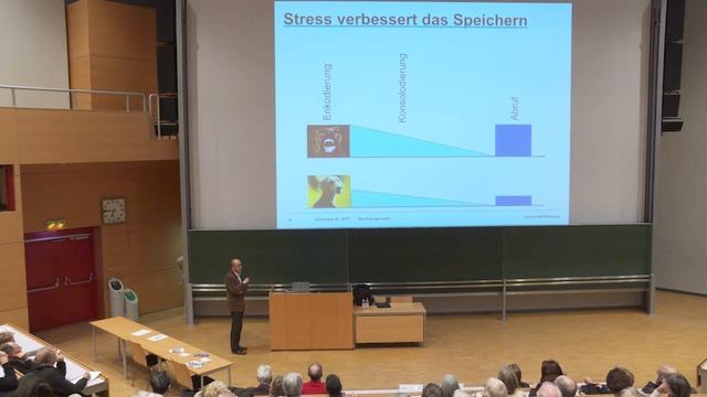 Was macht Stress mit unserem Gehirn? смотреть онлайн