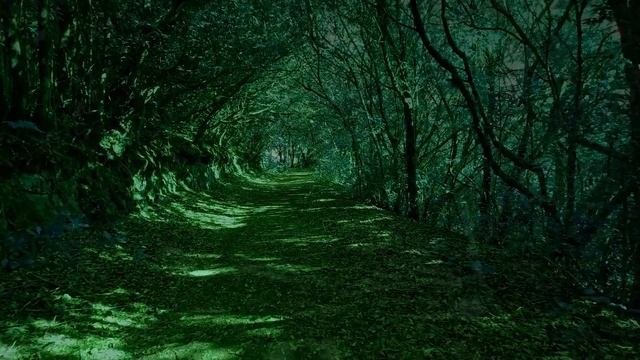 Медитация - визуализация "Мудрец из храма" смотреть онлайн