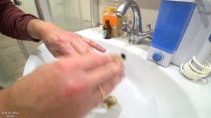 КАК отмыть РУКИ от грибов. ПРОВЕРЕННОЕ средство.
