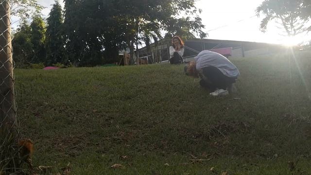 CANON 1000D O REBEL XS ANÁLISIS. ¿Es buena para empezar? ¿Debería comprar una cámara profesional? смотреть онлайн