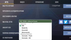 Обзор чита на  StandOk