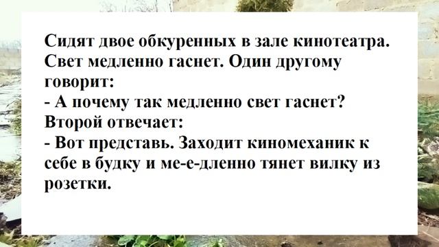 №21 ... у моего мужа 38...Смешные анекдоты. Отборные анекдоты. Веселые анекдоты. Смех. Ржака.