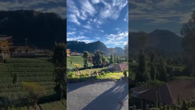 Cemoro Lawang, Probolinggo