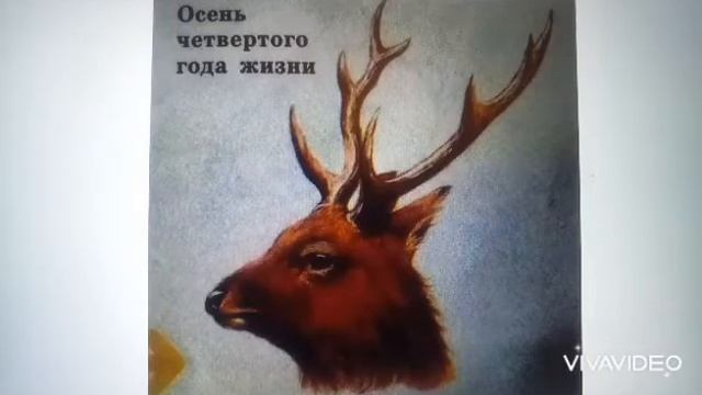 Зачем оленям рога? смотреть онлайн