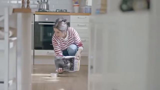 Pro Plan Junior & Sterilised смотреть онлайн