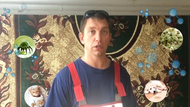 Как мы удаляем запахи, обрабатываем и дезинфицируем ковры