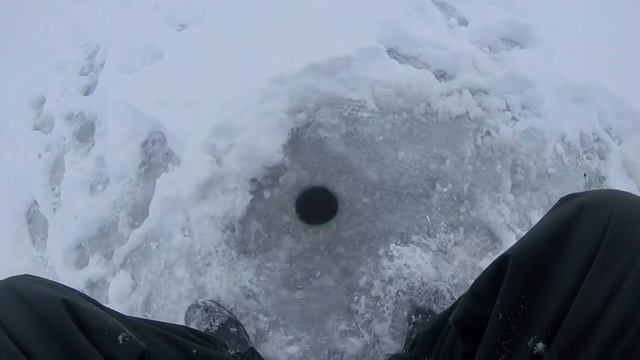 Можайское вдхр. Красновидово. Чертик против мотыля. смотреть онлайн