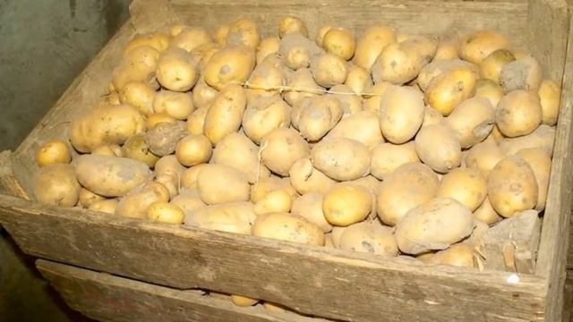 Картофель Адретта Почтой смотреть онлайн