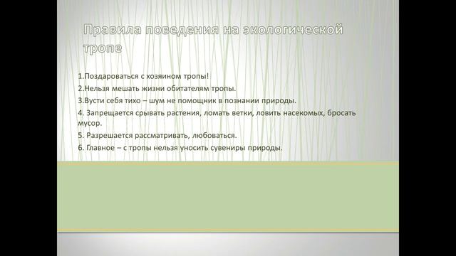 Ознакомление с природой в средней группе. Экологическая тропа весной.