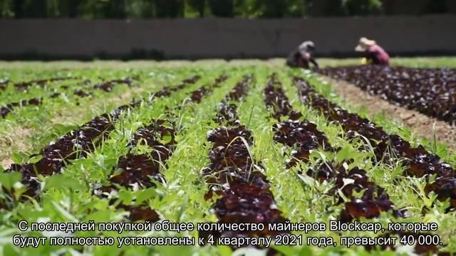 Две компании приобрели биткоин-майнеры от Bitmain на $150 млн смотреть онлайн