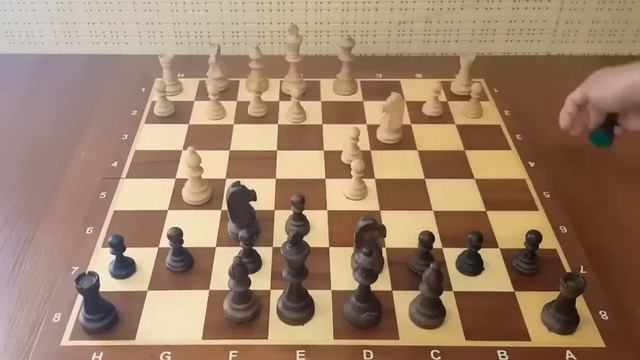 Сумасшедший ход! Эту ЛОВУШКУ нужно знать! Самый опасный вариант дебюта! Шахматы. смотреть онлайн
