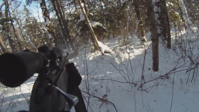 Добираем изюбря