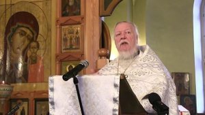 Женщины убивают младенцев в поисках счастья. Протоиерей Дмитрий Смирнов
