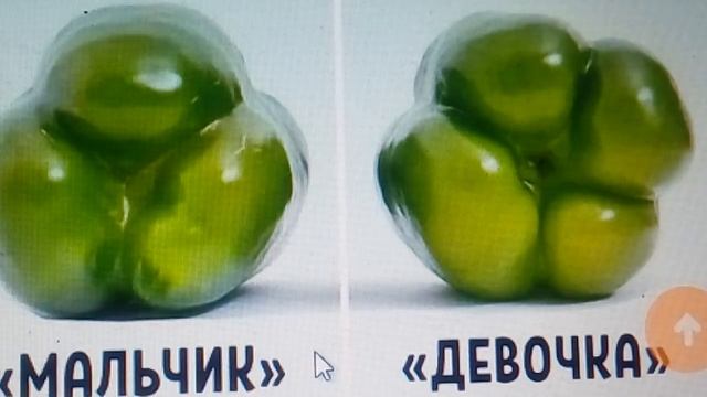 НЕ ВЫБРАСЫВАЙТЕ СЕМЕНА ОТ ПЕРЦА!!! ЧИЩУ СОСУДЫ И ПОНИЖАЮ ХОЛЕСТЕРИН ЭТОЙ ДОБАВКОЙ 29.09.2021 смотреть онлайн