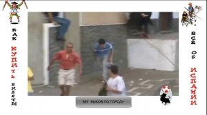 Смертельный бой быка с человеком