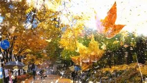 Я ПРИШЛЮ ТЕБЕ ОСЕНЬ