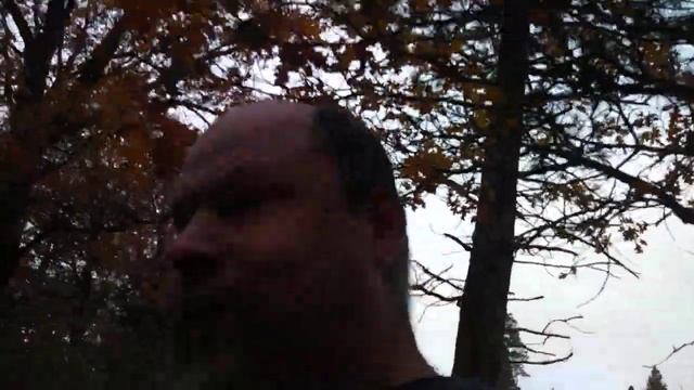 Milk- white brittleGil mushrooms? russula? смотреть онлайн