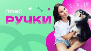 Трюк ручки, как научить собаку запрыгивать на руки