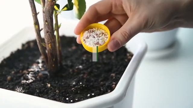 Три элемента правильного питания растений JOY "ТРИО МИКС". Удобрение для комнатных растений смотреть онлайн