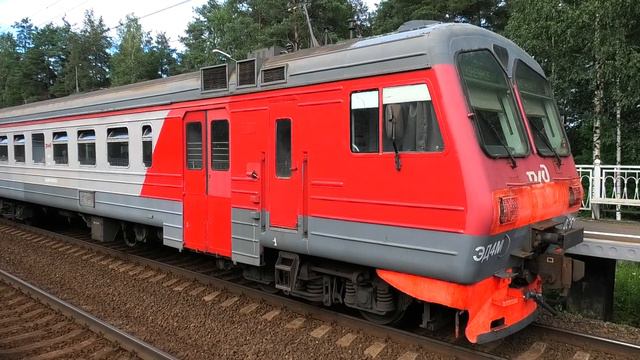 ЭД4М-0361 сообщением Санкт-Петербург — Кузнечное делает остановку на о.п. 39 км смотреть онлайн