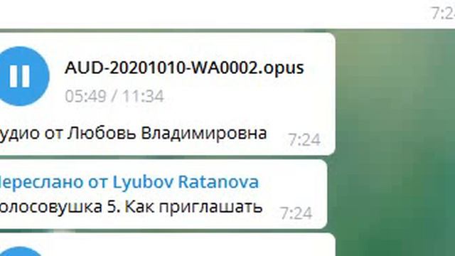 4.#CROWD1Новичкам об основном, что надо знать. Алла Князева.