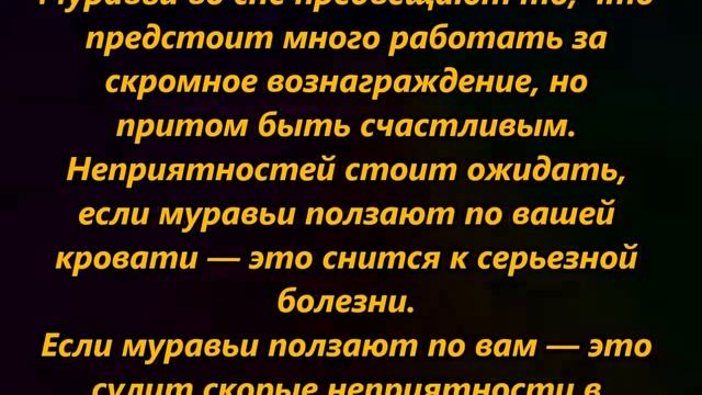 К чему снятся муравьи смотреть онлайн