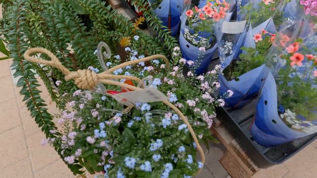 [4K]매일 가고 싶은 식물마켓 발견/ 화훼농장을 직접 운영하는 헬로우 가든마켓/ 초보식집사 동생과 식물쇼핑 смотреть онлайн