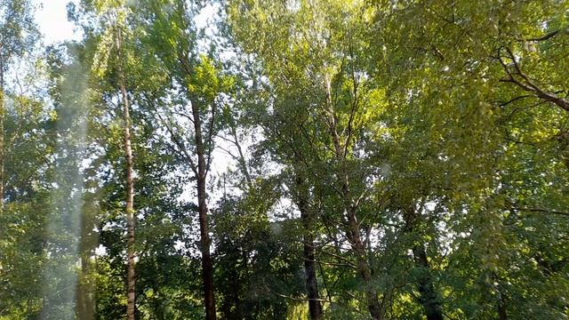 ХРОНИКА БУДУЩЕГО МИРА! ПЛЮС ПРОГНОЗ, ИХ ПРИЧИНА, КАК ОСУЩЕСТВЛЯЕТСЯ,НИКТО НЕ ГОВОРИТ!