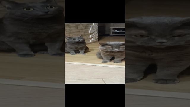 Мы вдвоем
