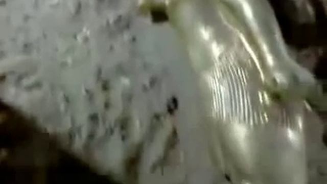 Раскопки в египте, клад, видео которого нет пока ни где.