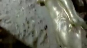 Раскопки в египте, клад, видео которого нет пока ни где.