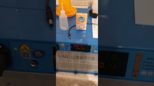 128 балапан шығаратын қондырғы, Қытай өнімі. Инкубатор Умница на 128 яиц, пр-ва Китай, 100% автомат