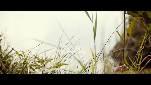 Озеро Боровское/ Borovskoe Lake смотреть онлайн