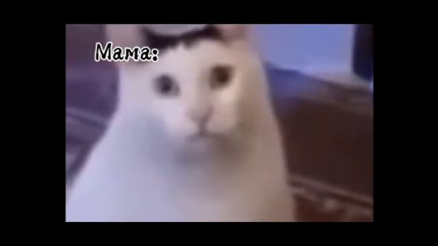 Что из трёх со мной сделают если буду гулять до 11? смотреть онлайн