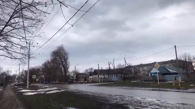 Прогулка Красногвардейское. Стрим смотреть онлайн