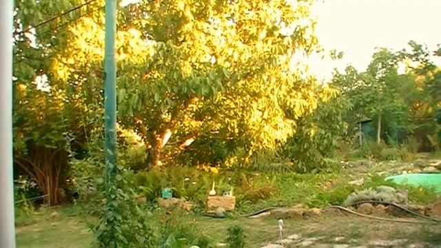 ОЧИСТИТЬ ПОЧКИ ОЧЕНЬ ПРОСТО ячмень и 700 мл кипятка И ДОБРОЕ УТРЕЧКО 5.08.2017 смотреть онлайн