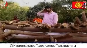 Talyshistan Tv 08.04.2016 News: ТАЛЫШИСТАН - ЛЮБОВЬ МОЯ,  БОЛЬ МОЯ...