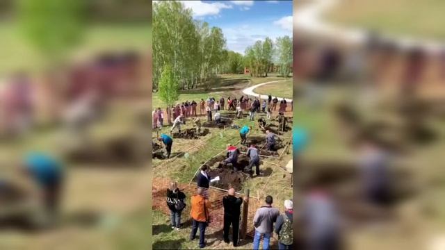 Чемпионат по копанию могил в Новосибирске. смотреть онлайн