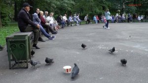 Прикол с голубями..