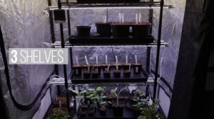 Introducing - Luxx Clone LED & Shelving Propagation Kits