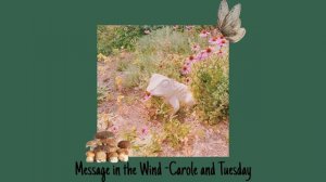 Wandering the Woods Behind Your Childhood Home | A Gremlincore/cottagecore playlist