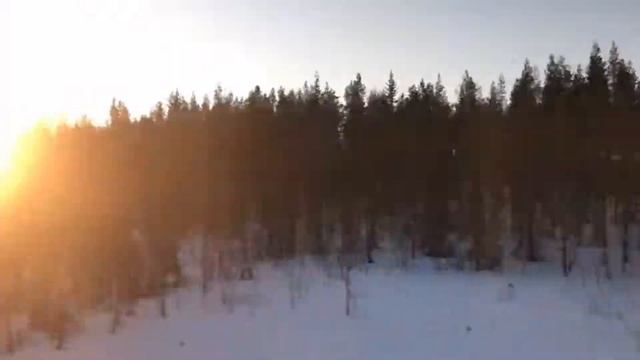 Автор стихов Юлия Друнина. Я не привыкла, чтоб меня жалели смотреть онлайн