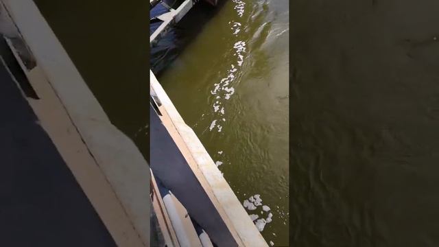 Кременская Станица Часть II