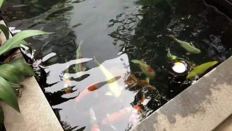 18 июня 2018, Вьетнам сегодня, Фантьет, 4К