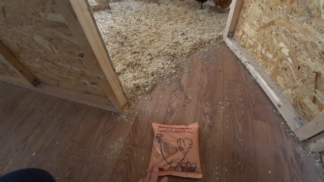 РАСКЛЕВ ЯИЦ У КУР. ЧТО ДЕЛАТЬ, ЕСЛИ КУРЫ КЛЮЮТ ЯЙЦА ?