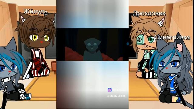 Реакция на "GHOST" Коты-Воители. (Жёлудь, Дроздовик, Синегривка, Синяя Звезда) смотреть онлайн
