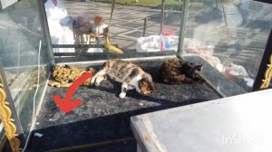 Silivri. Силиври в конце декабря.