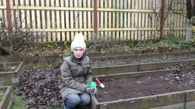 Осенняя борьба со....слизнями! смотреть онлайн